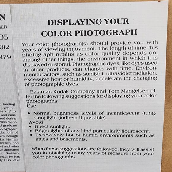 Thomas D. Mangelsen Collector Edition Print of Sandhill Cranes Images of Nature - Picture 9 of 15